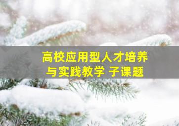 高校应用型人才培养与实践教学 子课题